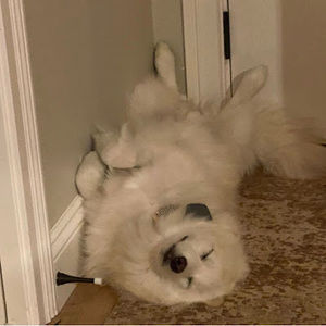 Meet your Posher, Elle